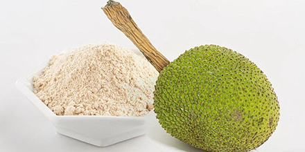 Bread Fruit Flour 