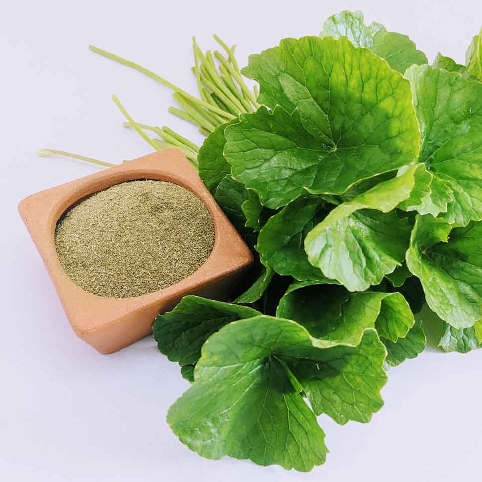 Gotukola