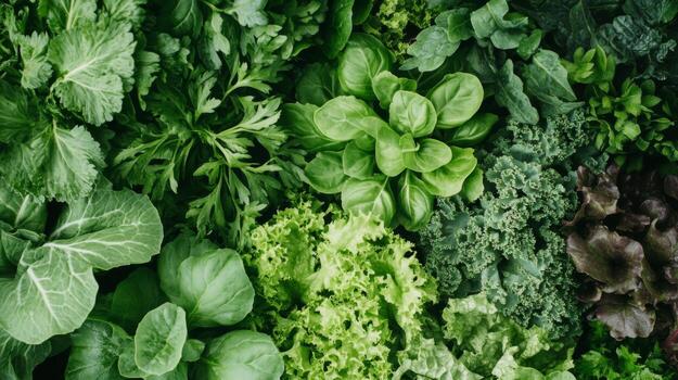 Green Leafy Vegetables