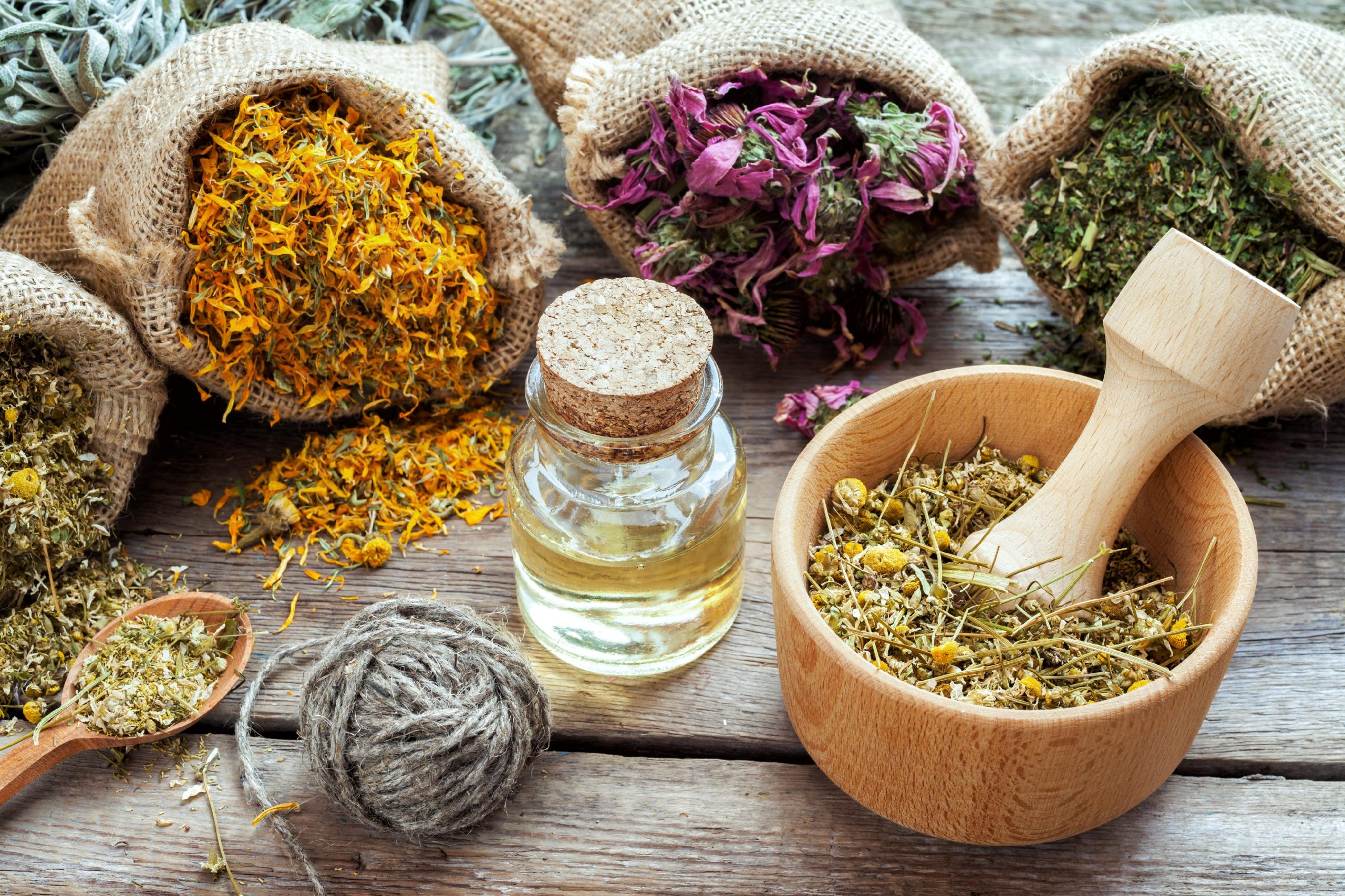 Medicinal Herbs 
