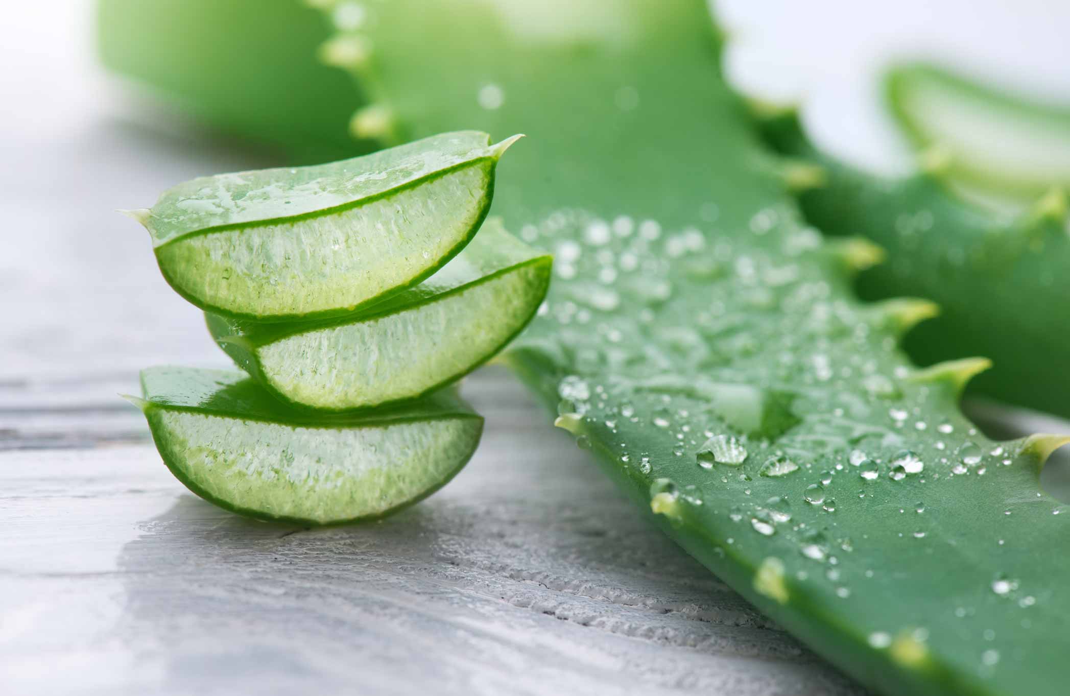 Beauty & Wellness